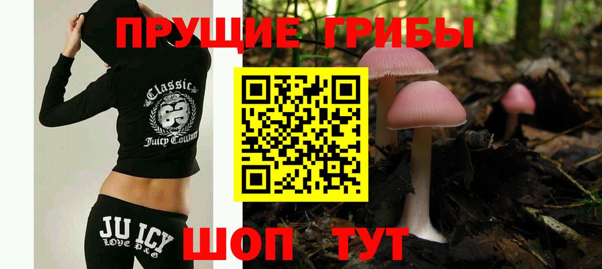 Электросталь  Псилоцибиновые грибы Cubensis  Псилоцибиновые грибы MAGIC MUSHROOMS  Вход с VPN 